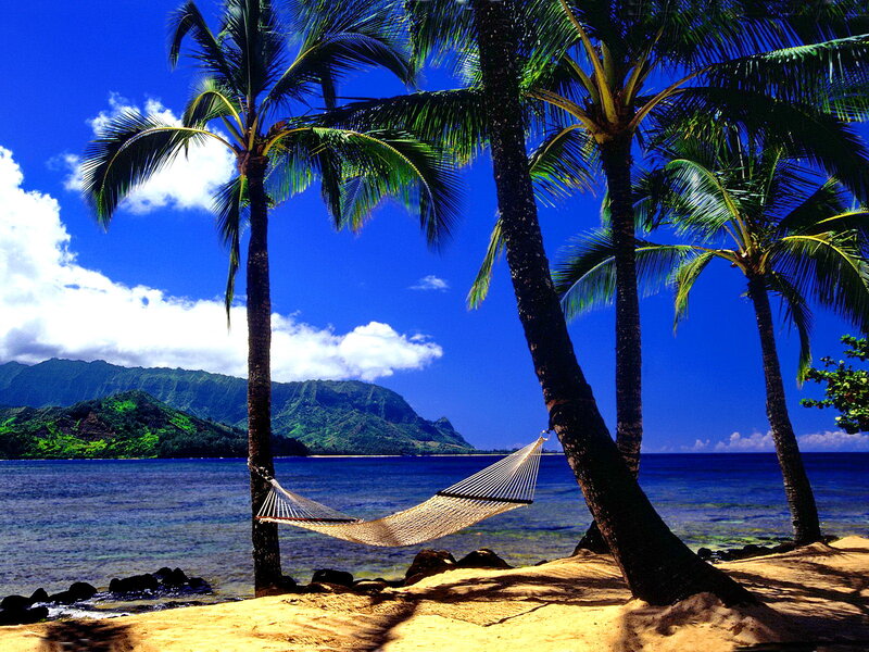 Hammock Between Palm Trees — Blue, Serene, Afternoon, Photograph, Palm Trees, Beach, Ocean, Mountains