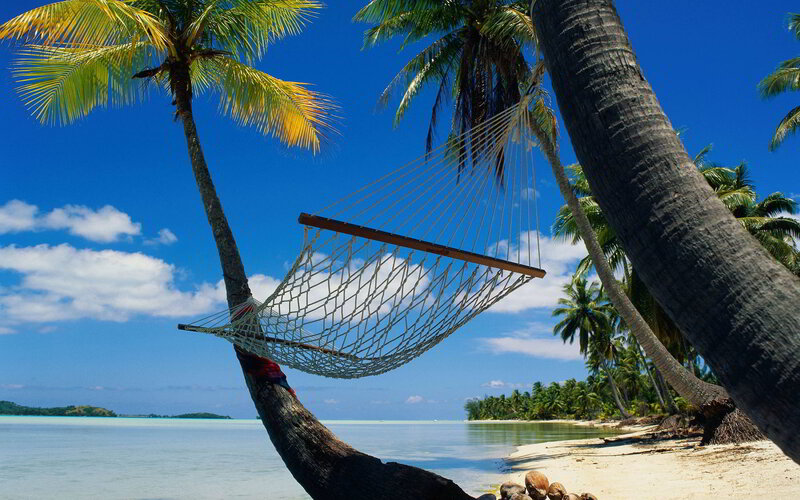 Hammock Between Palm Trees — Blue, Serene, Afternoon, Photograph, Palm Trees, Beach, Ocean, Sky