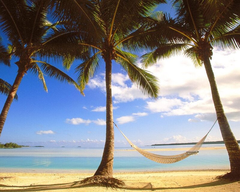 Hammock Between Palm Trees — Blue, Serene, Afternoon, Photograph, Palm Trees, Beach, Ocean
