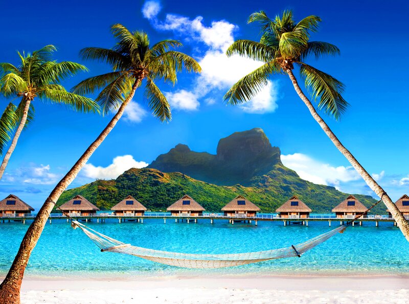 Hammock Between Palm Trees — Blue, Serene, Afternoon, Photograph, Palm Trees, Bungalows, Mountain, Beach
