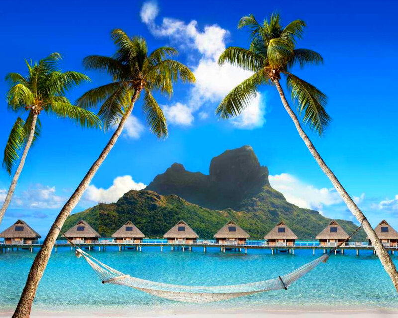 Hammock Between Palm Trees — Blue, Serene, Afternoon, Photograph, Palm Trees, Bungalows, Mountain