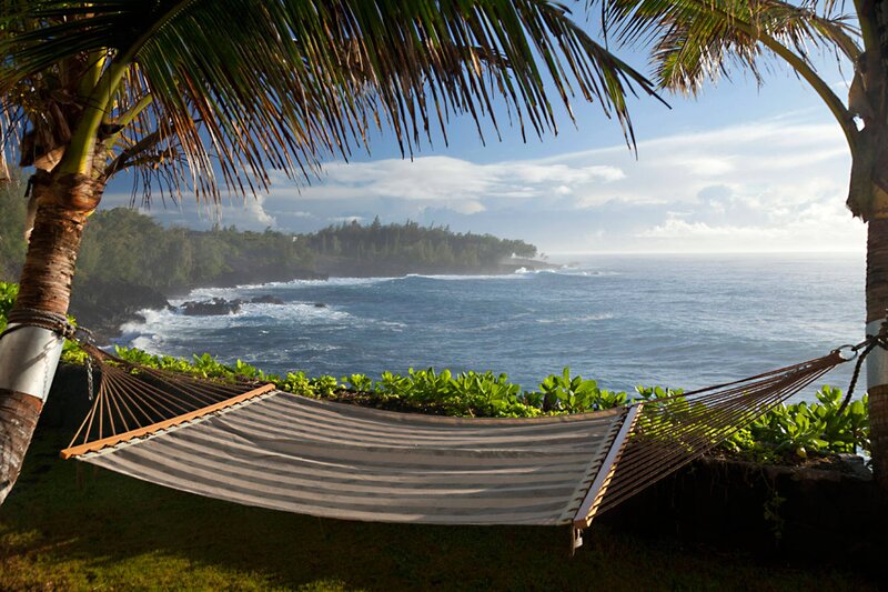 Hammock Between Palm Trees — Blue, Serene, Afternoon, Photograph, Palm Trees, Ocean, Coastline