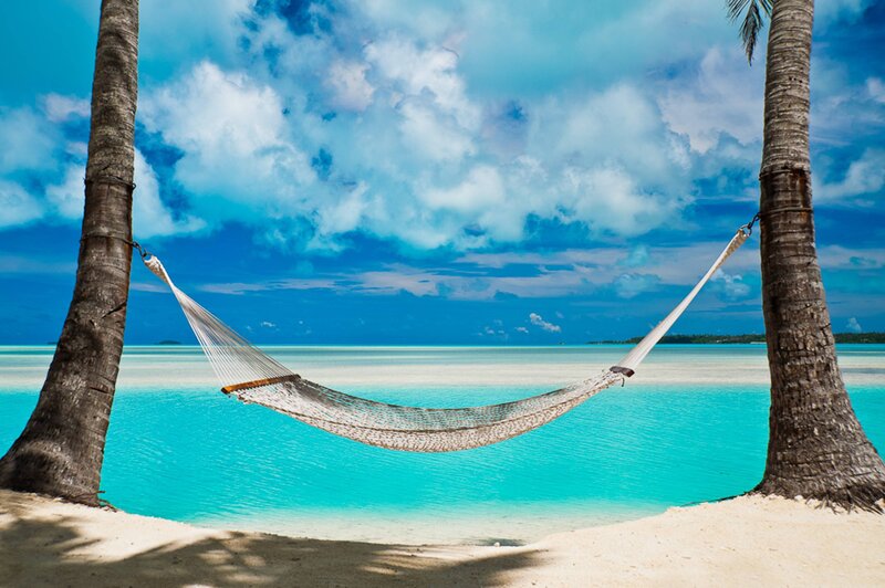 Hammock Between Palm Trees — Blue, Serene, Afternoon, Photograph, Palm Trees, Ocean, Sky