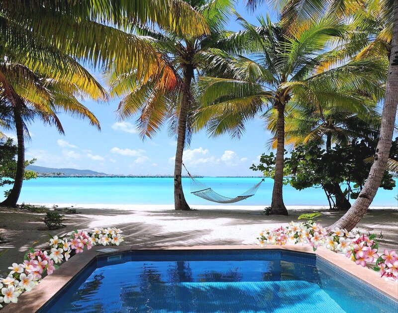 Hammock Between Palm Trees — Blue, Serene, Afternoon, Photograph, Palm Trees, Pool