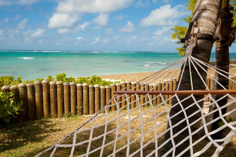 Hammock Between Palm Trees — Blue, Serene, Afternoon, Photograph
