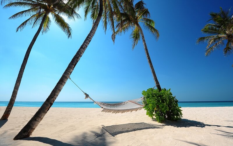 Hammock Between Palm Trees — Blue