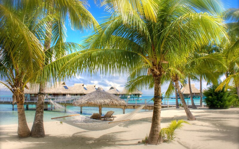 Hammock Between Palm Trees — Green, Serene, Afternoon, Photograph, Palm Trees, Bungalows