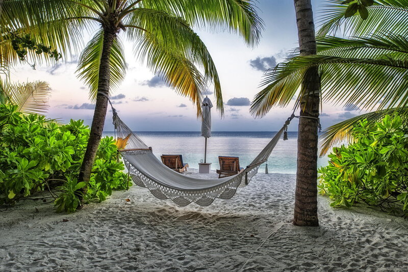 Hammock Between Palm Trees — Green, Serene, Sunset, Photograph, Palm Trees