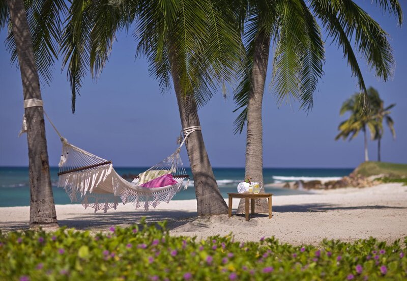 Hammock Between Palm Trees — Green