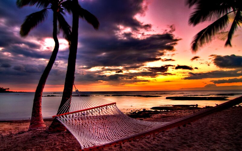 Hammock Between Palm Trees — Orange, Dramatic