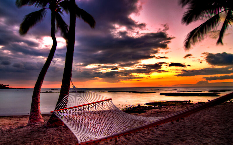 Hammock Between Palm Trees — Orange