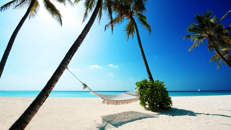 Hammock Between Palm Trees — Sailboat
