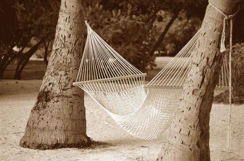 Hammock between palm trees