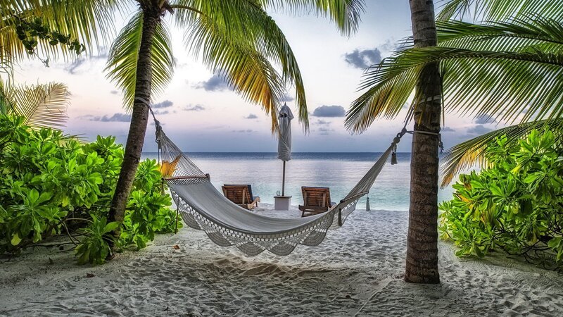 Hammock Between Palm Trees — White, Serene, Sunset