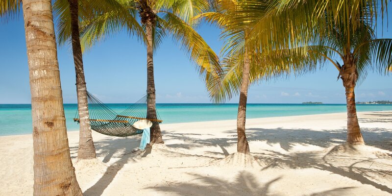 Hammock Between Palm Trees — White, Serene