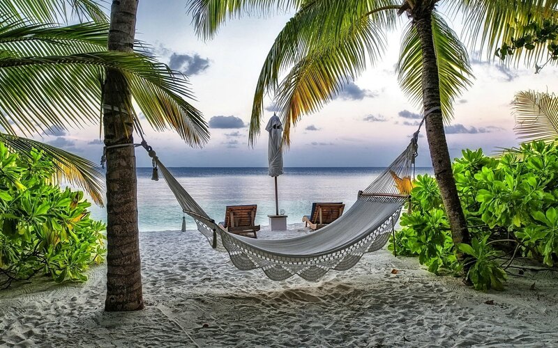 Hammock Between Palm Trees — White