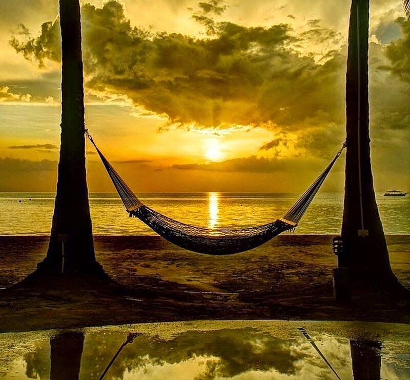 Hammock Between Palm Trees — Yellow