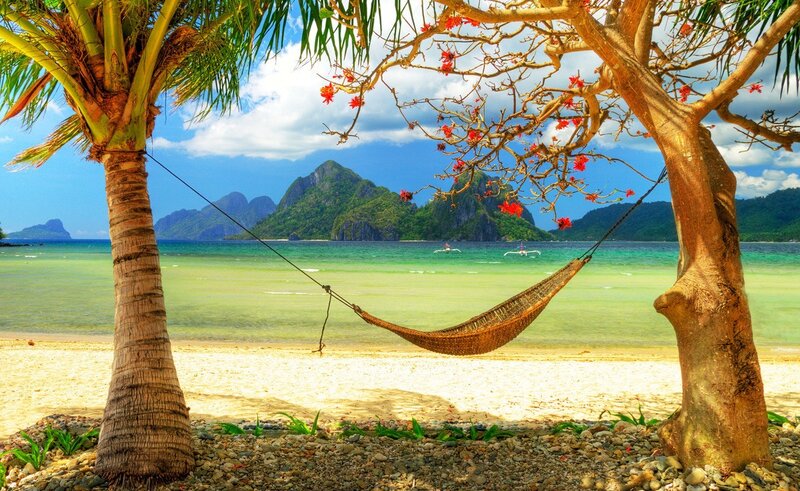 Hammock Between Trees — Blue, Serene, Afternoon