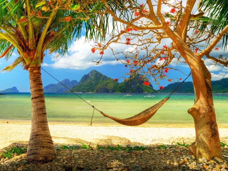 Hammock Between Trees — Blue, Serene