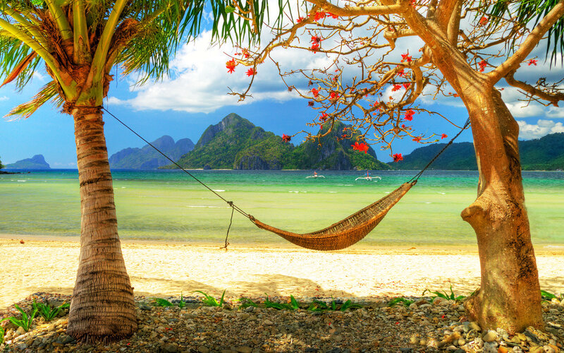 Hammock Between Trees — Blue