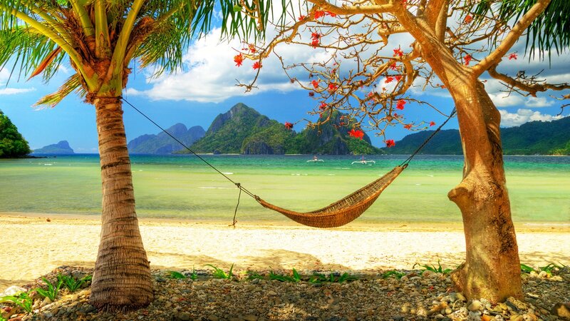Hammock Between Trees — Green, Serene