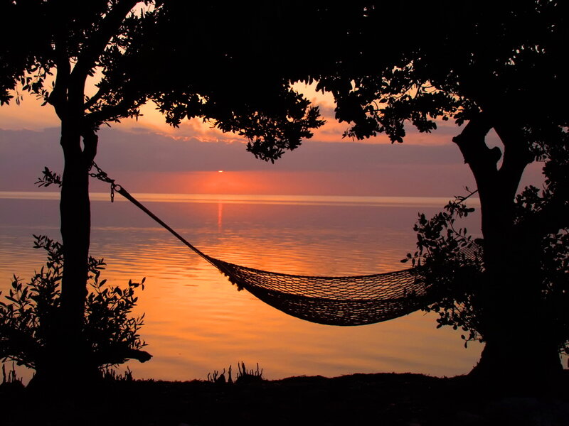 Hammock Between Trees — Orange, Serene