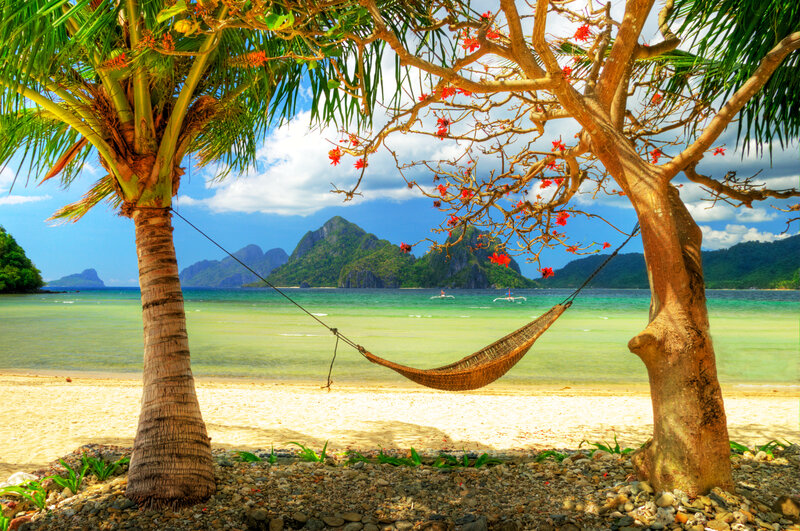 Hammock Between Trees