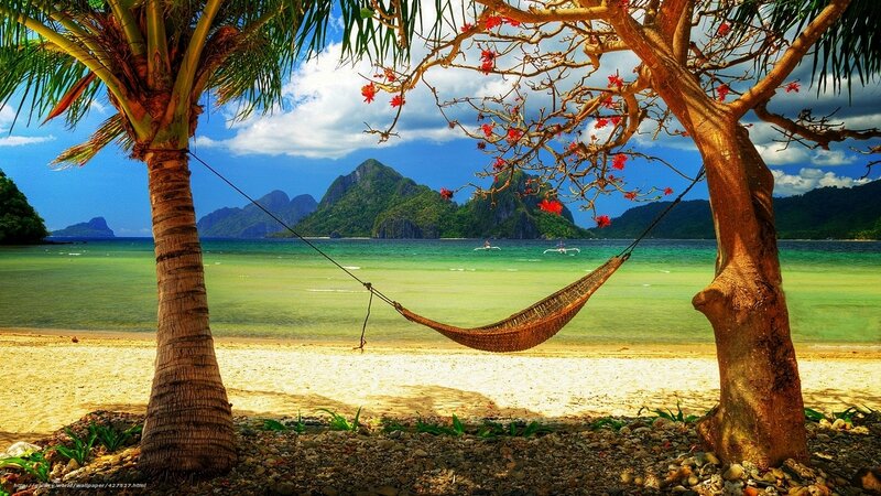 Hammock Between Two Trees