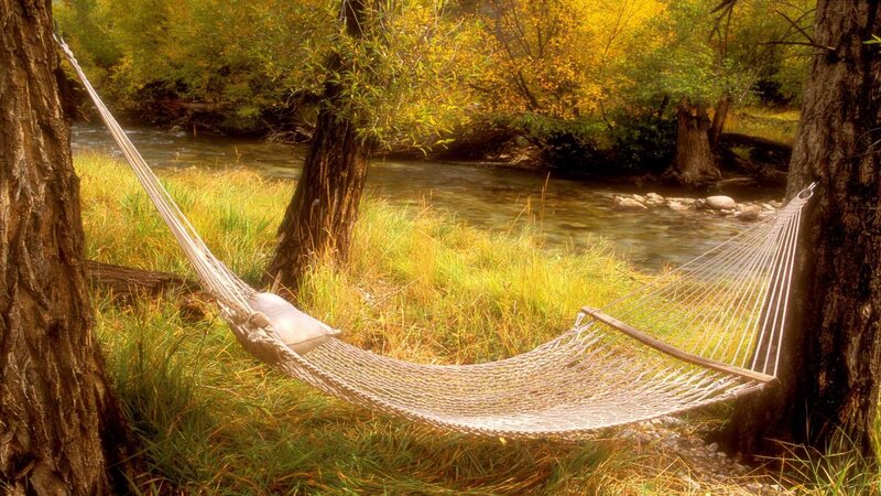 Hammock by a river in autumn
