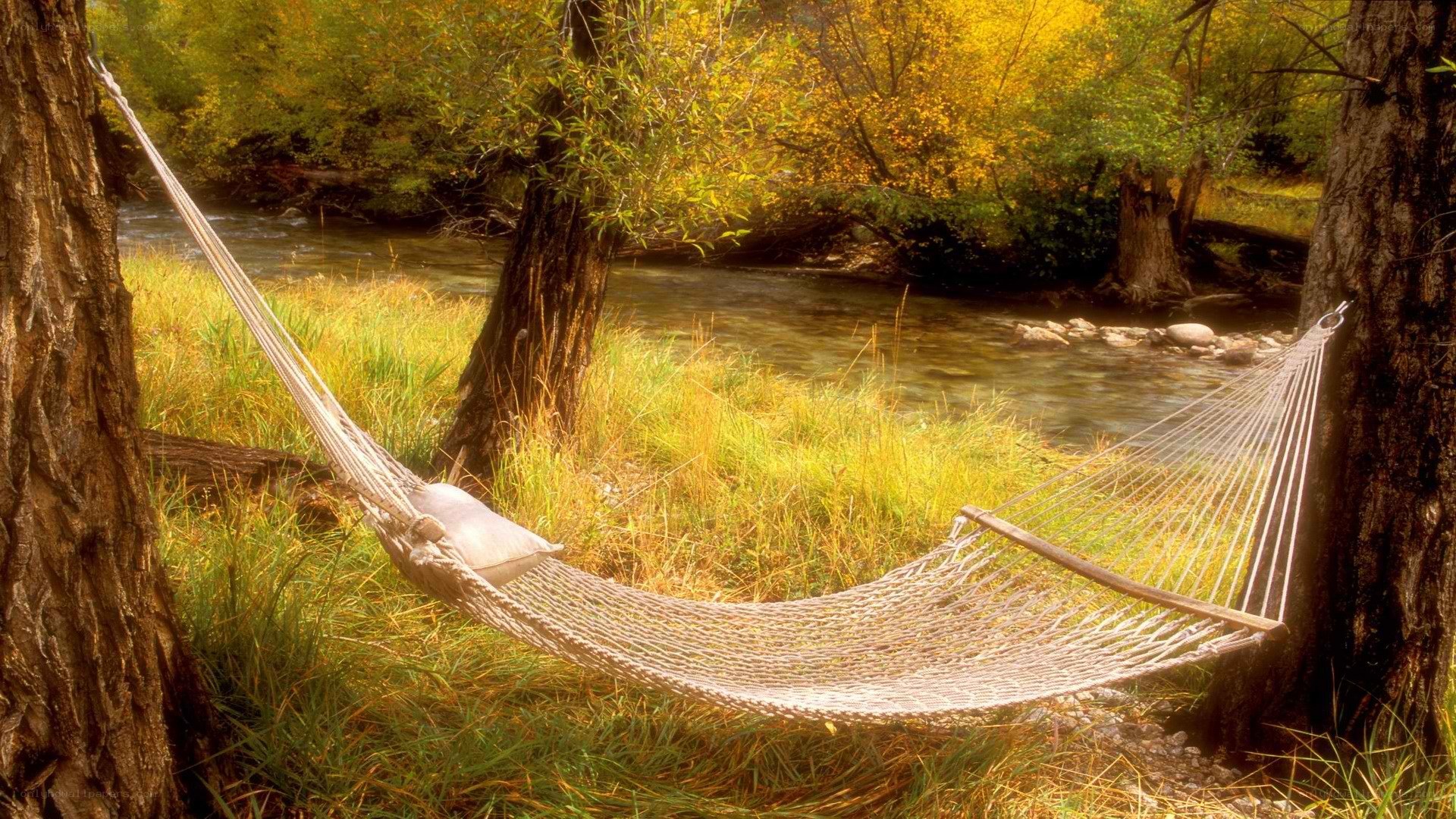 Hammock by a river in autumn