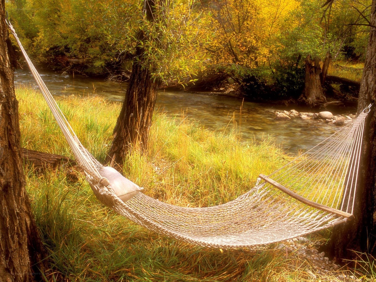 Hammock by a river in autumn
