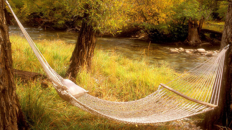 Hammock by River — Green