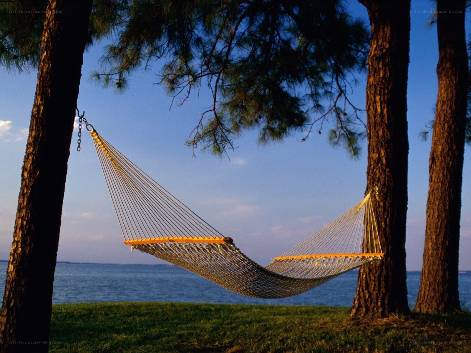 Hammock by the water