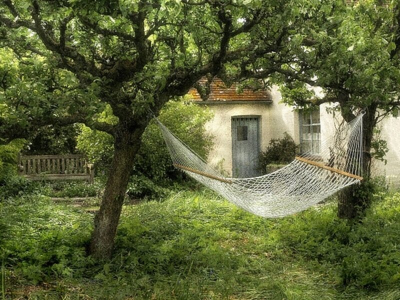 Hammock in a garden