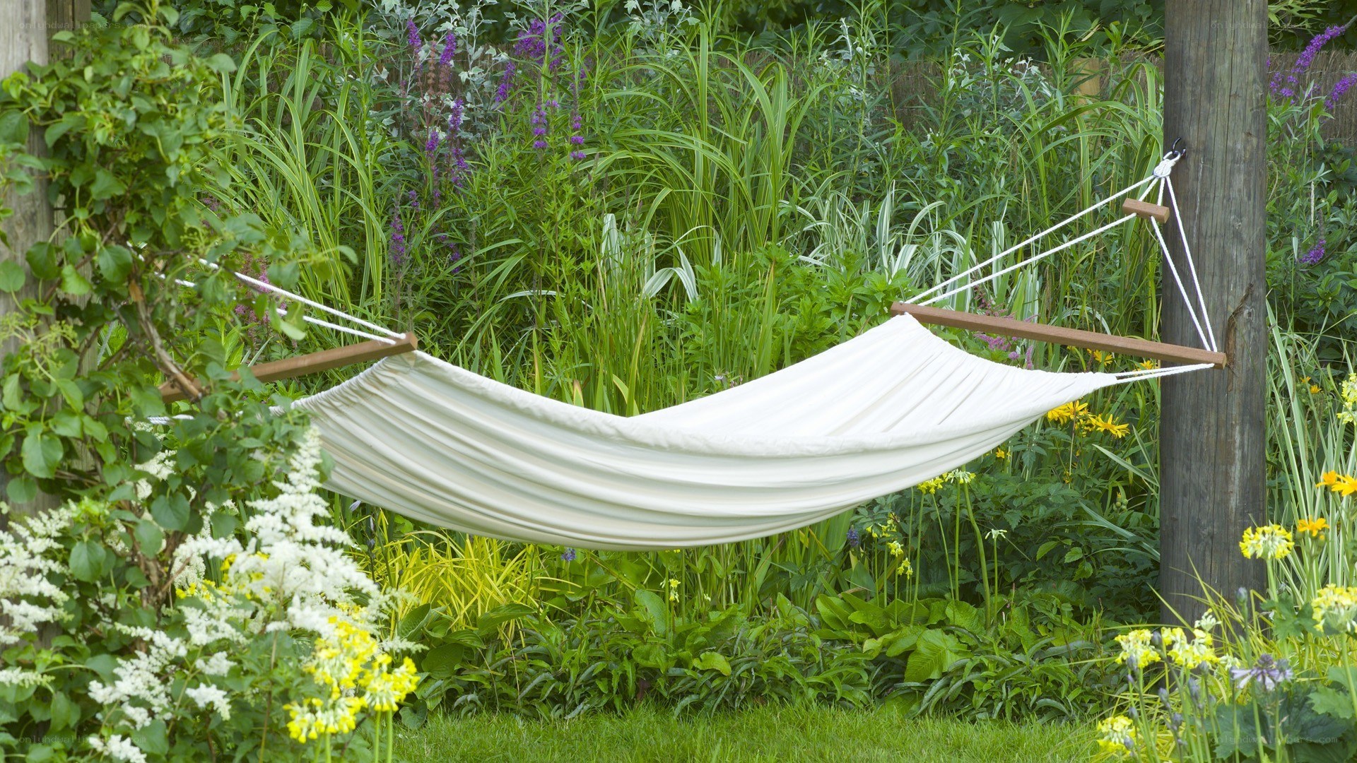 Hammock in a lush garden
