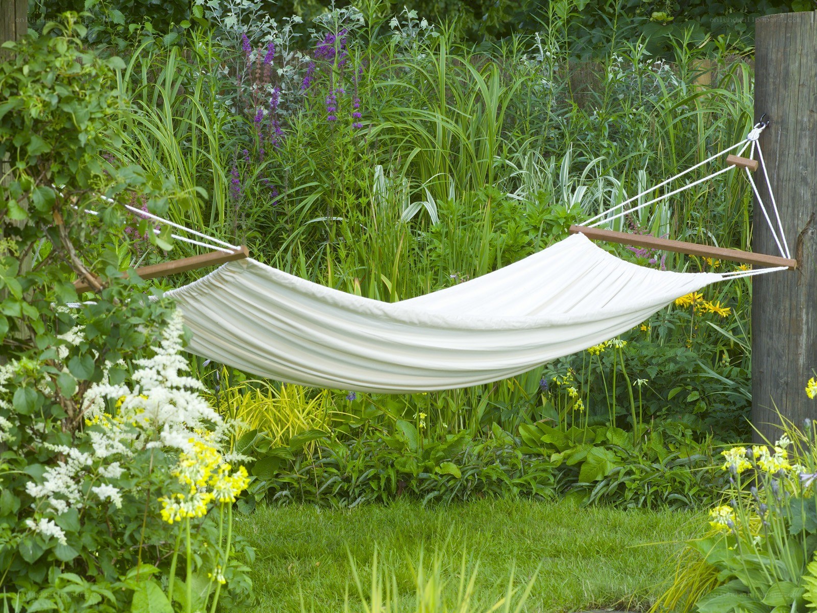 Hammock in a lush garden