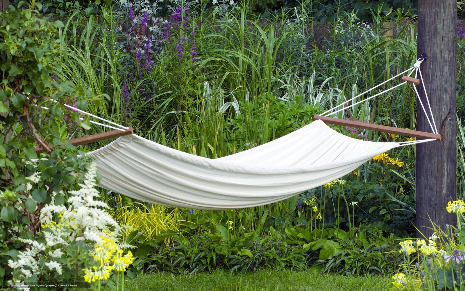 Hammock in a lush garden