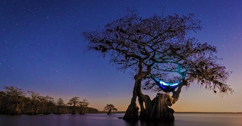 Hammock in Cypress Tree