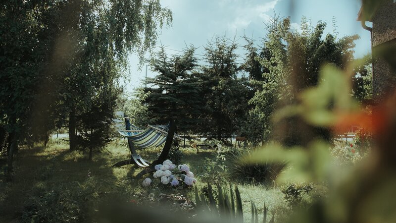 Hammock in Garden — Green, Serene, Afternoon, Photograph, Trees