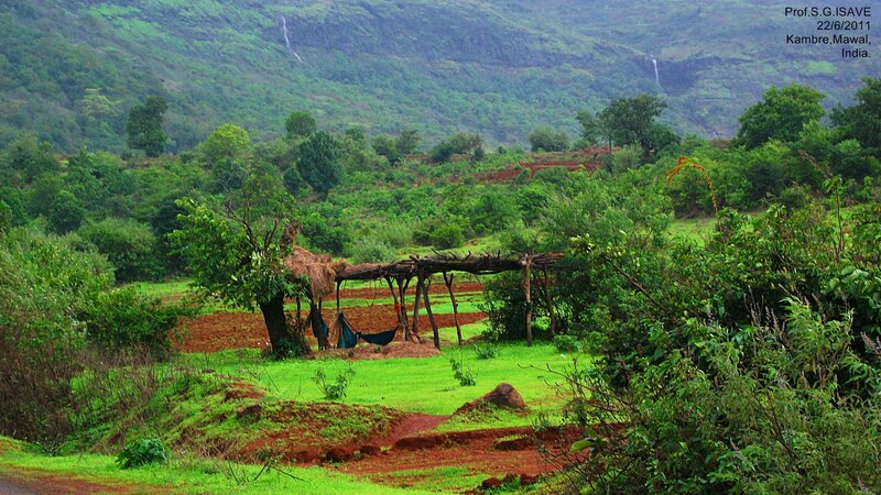 Hammock in Rural Landscape
