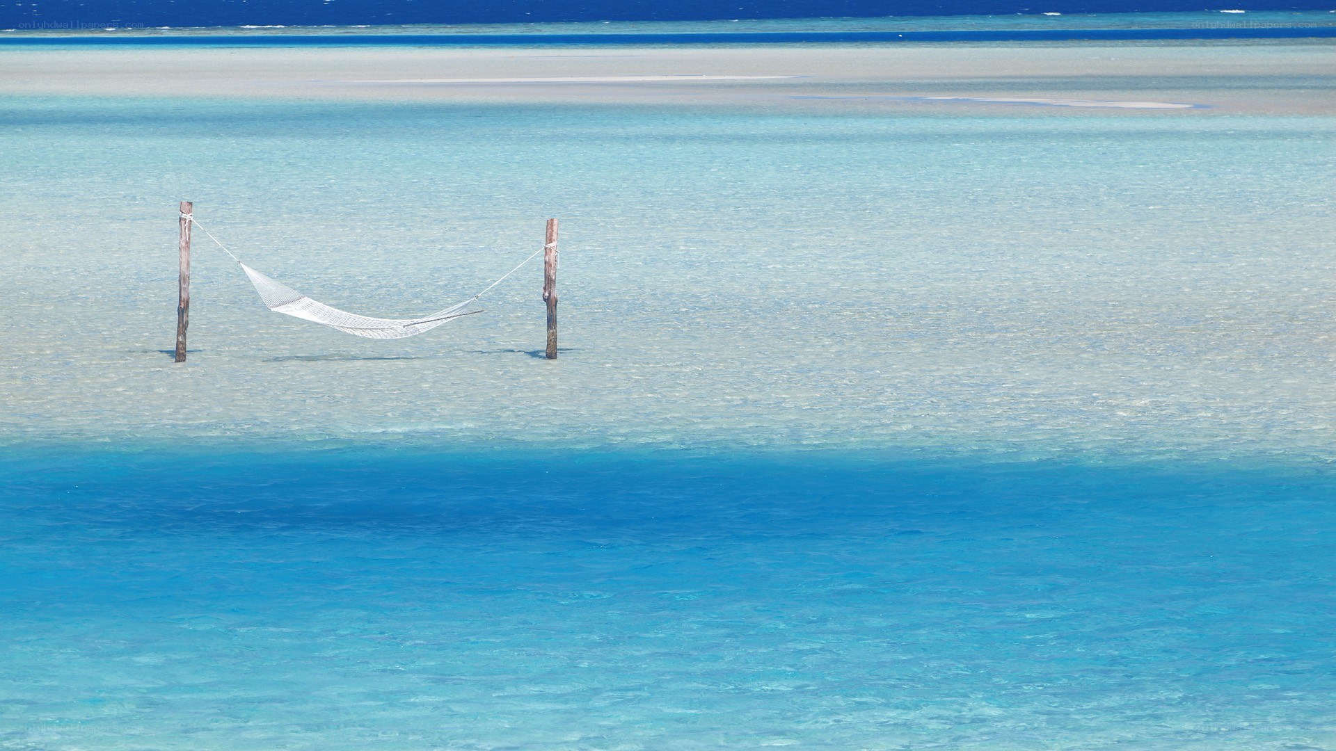 Hammock on a tropical beach
