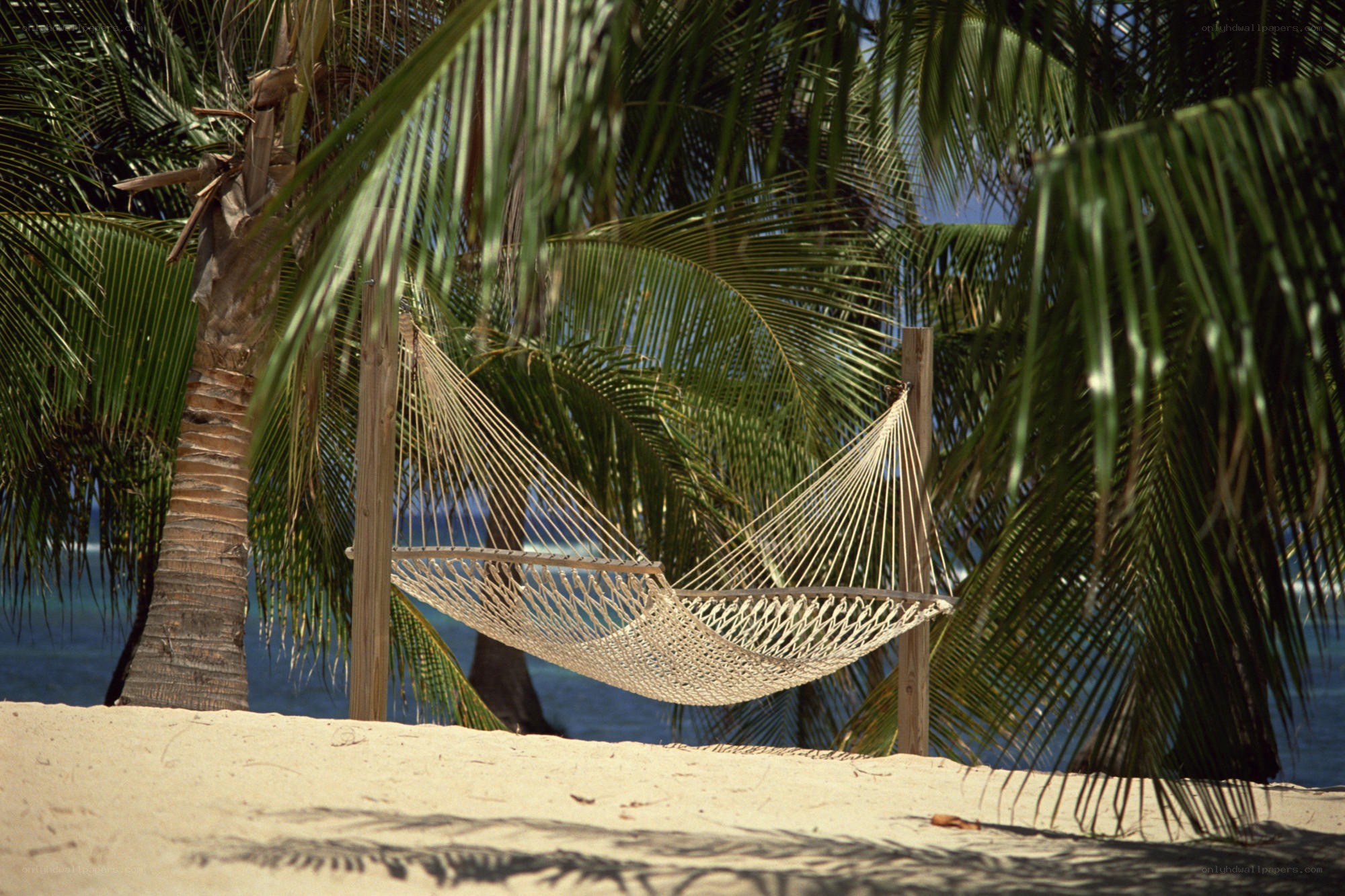 Hammock on a tropical beach