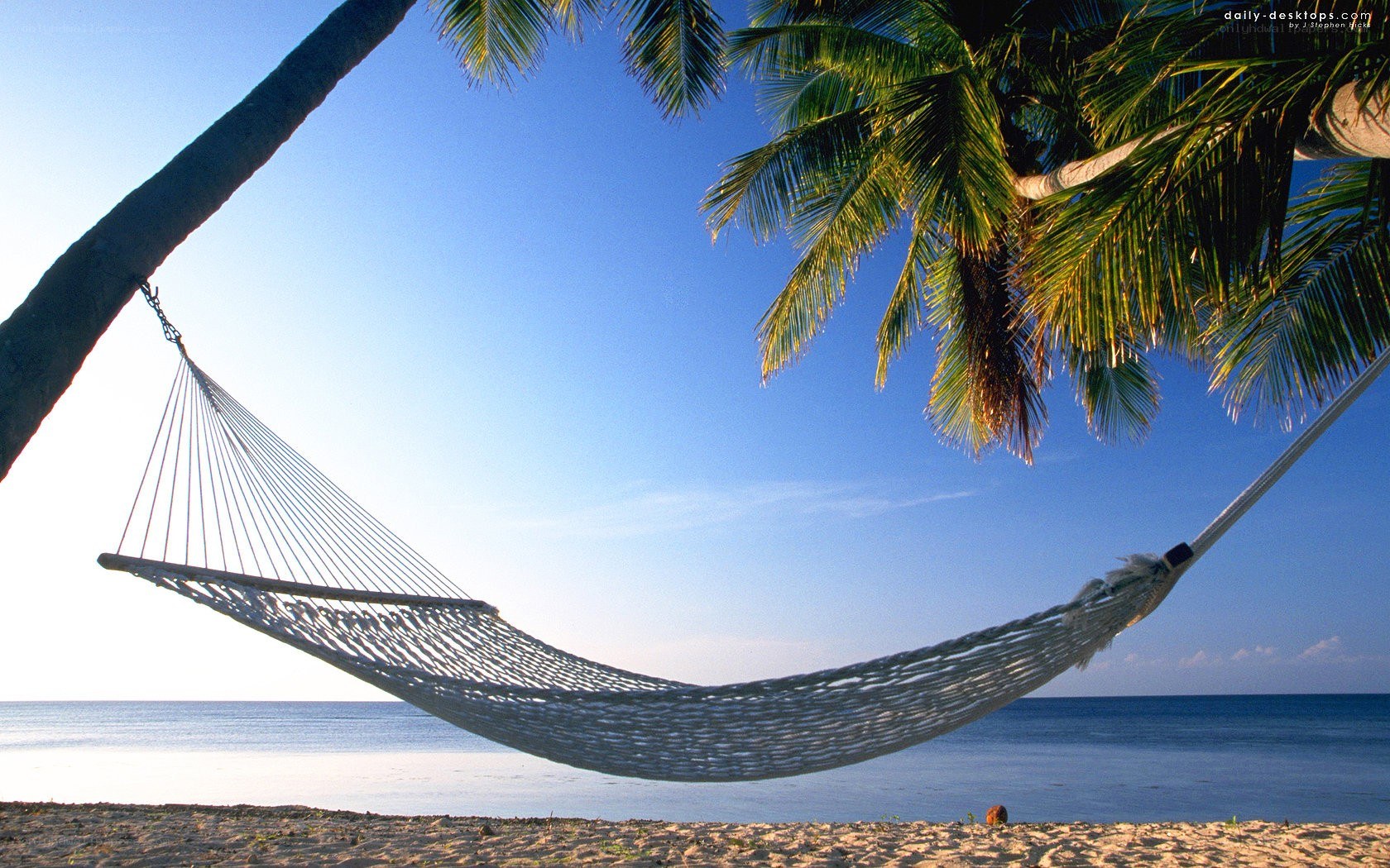 Hammock on a tropical beach