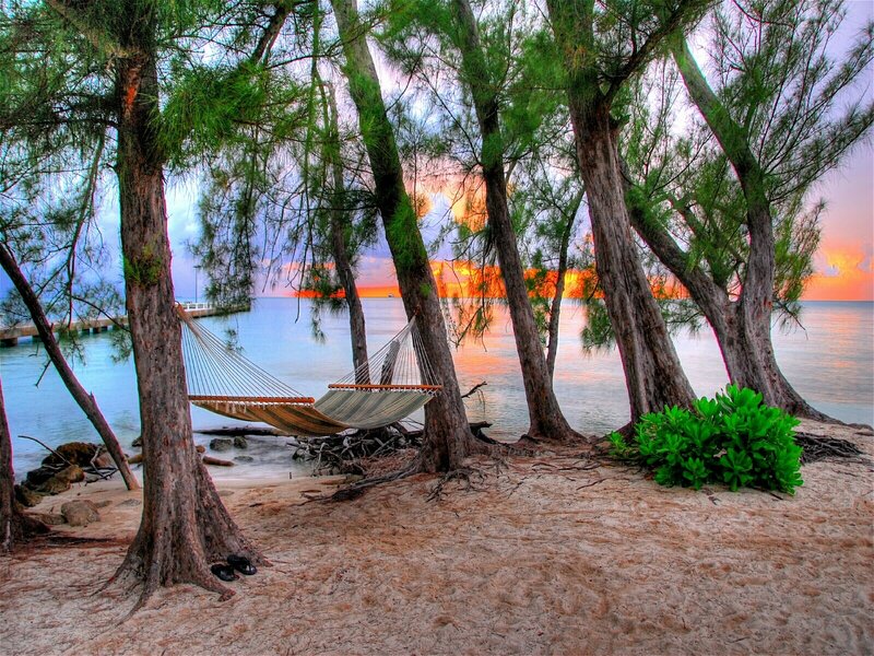 Hammock on a tropical beach