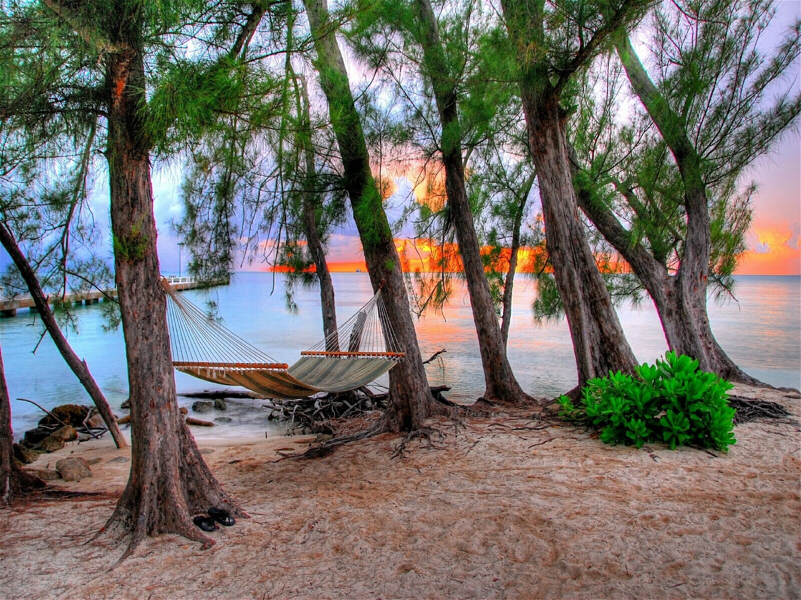 Hammock on a tropical beach