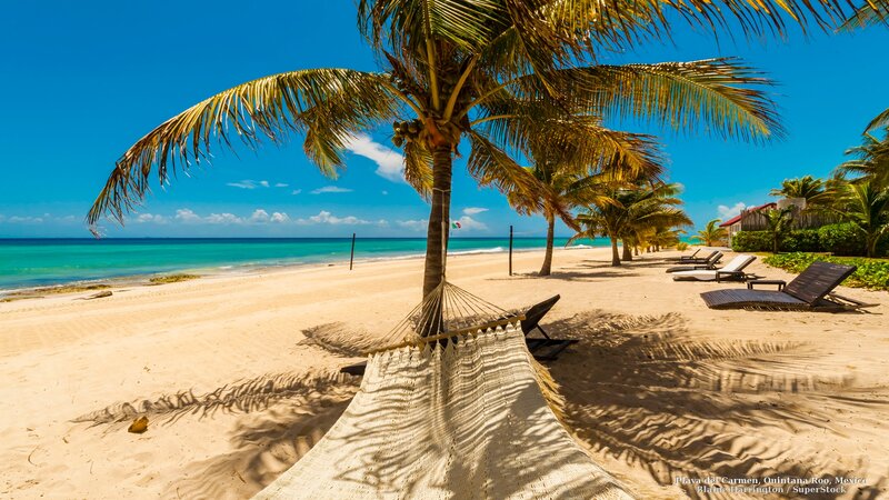 Hammock on Beach — Blue, Serene, Afternoon, Photograph, Palm Tree, Lounge Chairs