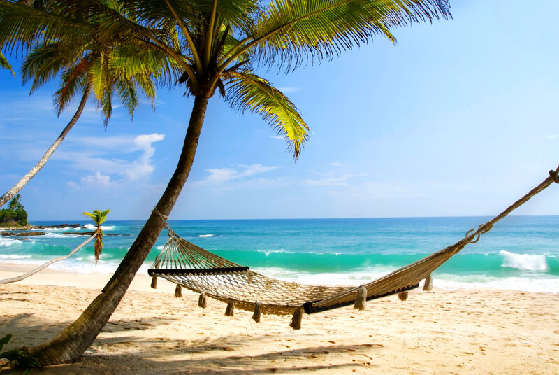 Hammock on Beach — Blue, Serene, Afternoon, Photograph, Palm Tree, Ocean, Sand