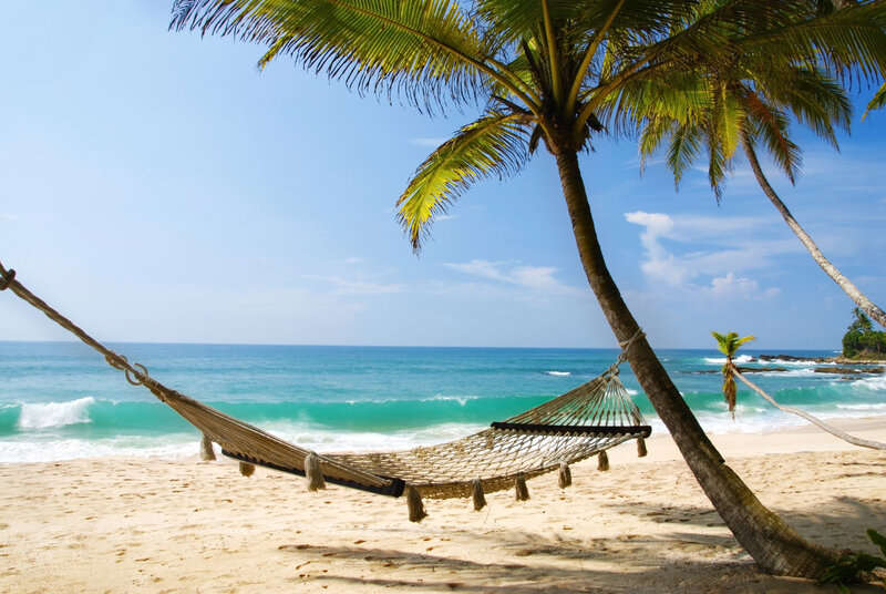 Hammock on Beach — Blue, Serene, Afternoon, Photograph, Palm Tree