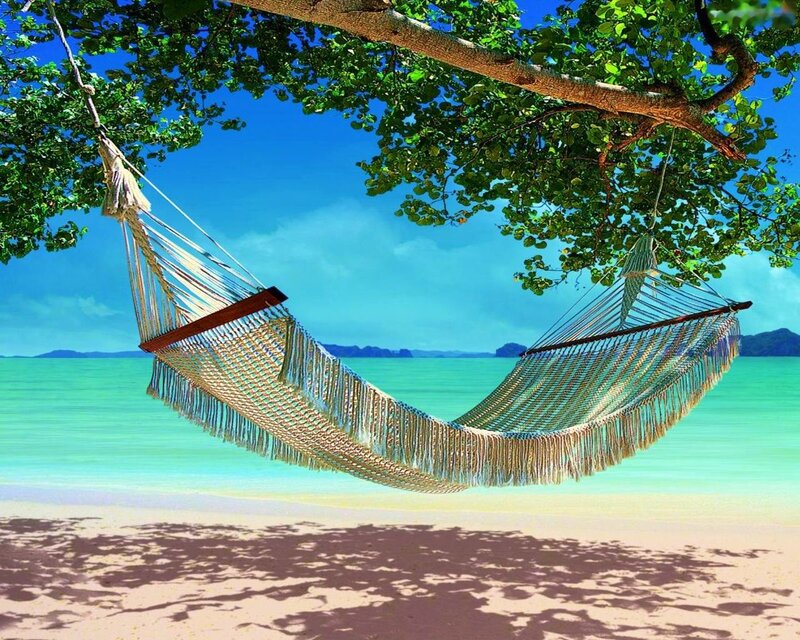 Hammock on Beach — Blue, Serene, Afternoon, Photograph, Tree, Ocean