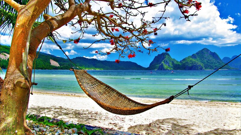 Hammock on Beach — Blue, Serene, Afternoon, Photograph, Tree
